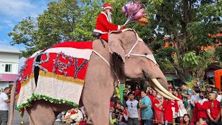 ซานตาคลอสช้าง มาแจกของขวัญให้กับเด็กๆโรงเรียนจิระศาสตร์แล้ว