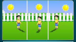 Shadow - Science Class 5