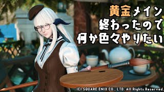 【FF14】(黄金ネタバレ注意)メインクエスト終わらせたから色々やりたい！