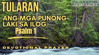 Psalm 1 TULARAN ANG MALAGONG PUNONG LAKI SA TABI NG ILOG #Psalm #Bible #Faith