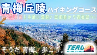 【奥多摩】⛰️青梅丘陵ハイキングコース  登山未経験者&初心者必見‼️東京の自然を日帰りで満喫できるさんぽ道♪軍畑駅から青梅駅まで約10㎞を歩こう！