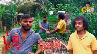 දිනුම - Dinuma