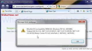 IE8 JavaScript