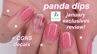 panda dips january exclusive collection review!