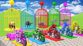 Long Slide Game With Cow Elephant Gorilla Hippopotamus Tiger 3d Animal Game Funny 3d Animals
