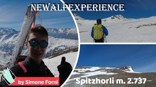 Spitzhorli dal passo del Sempione - Skialp