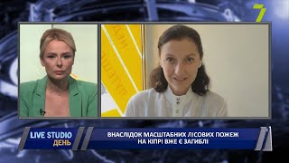 Внаслідок масштабних лісових пожеж на Кіпрі вже є загиблі