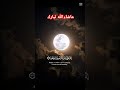 ي الله يا كريم explore foryou duet copaamerica لايك تيك_توك ترند nature