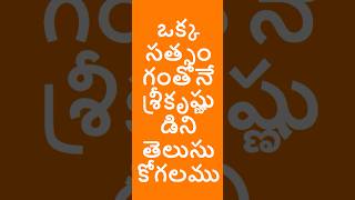 ఒక్క సత్సంగంతోనే శ్రీకృష్ణుడిని తెలుసుకోగలము