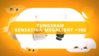 Tungsram  Xensation Megalight +100