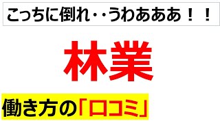 林業の働き方の口コミを20件紹介します