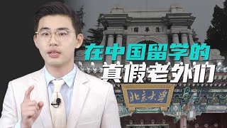 骁话一下：教育部拿假老外开刀，但留学问题仅此而已吗？