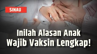 Dear Orang Tua, Ini lo Alasan Bayi dan Anak Wajib Imunisasi Lengkap | SINAU