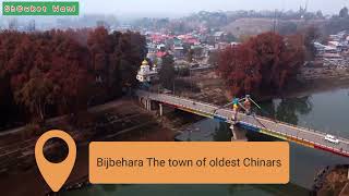 BIJBEHIRA THE TOWN OF OLDEST CHINAR