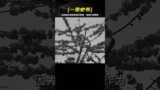 西安高齡產婦歷經艱辛喜得貴子，驚人發現：新生兒竟然已是12歲少年