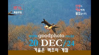 而化(이화) PhotoVideo 사진영상 1220'24 [겨울은 백조의 계절]