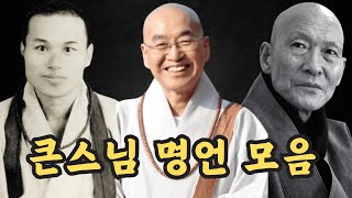 (불교)영혼을 깨우는 주옥같은 큰스님 명언 모음(성철스님, 법륜스님, 법정스님)