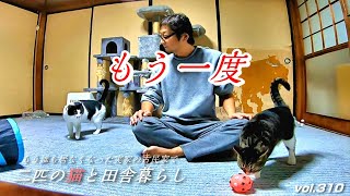 【フカセンvlog310】発表したいもの／動画の編集中に感極まる／ランラン自らアレをやる／猫とオンボロ古民家一人田舎暮らしの日常生活日記。