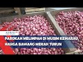 Pasokan Melimpah di Musim Kemarau, Harga Bawang Merah Turun