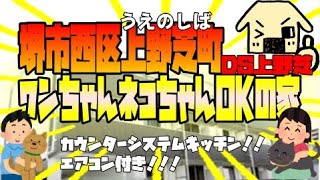 堺市西区上野芝町の賃貸マンション【DS上野芝】