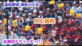 高校野球  神奈川大会   向上高校　応援団チアリーダー(1)　cheerleader　チアダンス