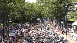 【公式】東京理科大学Yosakoiソーラン部　原宿表参道元氣祭スーパーよさこい　NHKストリート　日曜日