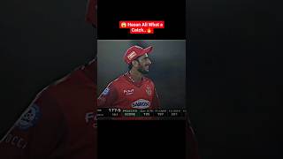 GREAT EFFORT BY HASAN ALI 😱 BEST CATCH IN PSL #shorts #psl #cricket #trending #viral #subscribe