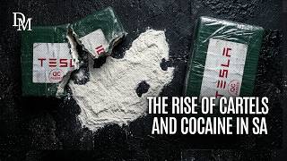 Mounting evidence suggests Mexican cartel activity in Mzansi
