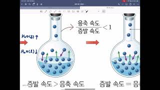 완자 화학1 p.234~237 동적평형 개념강의