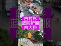 广州疫情大爆发，管理混乱，民兵参与封控