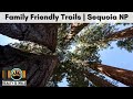 Family Friendly Hikes in Sequoia National Park | Tips and MORE!