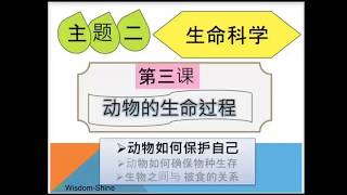 智阳 5年级 @ 14/4/2020 科学：单元三 动物的生命过程 + 单元四 植物的生命过程 复习与练习