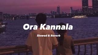 Ora Kannala Song Slowed Reverb| Tamil