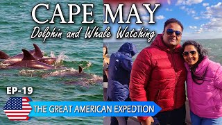 Discovering Dolphins and Whales in Sea | Incredible Moments in America