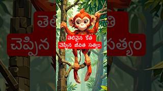 తెలివైన కోతి చెప్పిన జీవిత సత్యం | Telugu Moral Stories | stories in Telugu | Telugu Stories