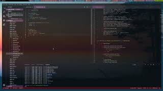 Every programming tutorial++
