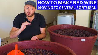 HOW TO MAKE RED WINE - OUR HOMESTEAD LIFE CENTRAL PORTUGAL