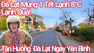 Đà Lạt Mùng 1 Tết Lạnh 8°C Tận Hưởng Yên Bình Đúng Nghĩa