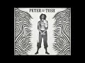 Peter Tosh - Johnny B. Goode (Long Version)