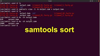 samtools sort bam file by coordinate