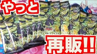 【遊戯王】再販してた!!マキシマムクライシス灰流うらら狙いでパック開封♪Yu-Gi-Oh!【めいちゃんねる】