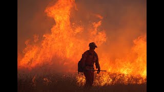 Trump meet Newsom, tours damage from LA fires and speaks on wildfires at press conference