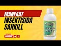 Manfaat Insektisida Sankill