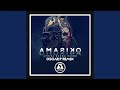 Amasiko (Oscar P Epitome Resound Rework)