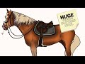 HUGE Riding Clothes Haul // Equestrian Haul // MAYA DELOREZ // HORZE // HÖÖKS // Horseplay Apparel