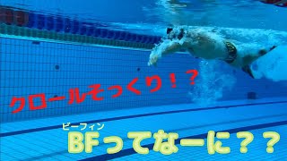 【種目紹介】ビーフィン編！！