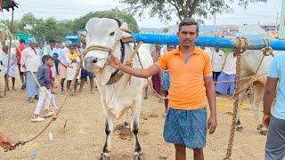 తురిమెళ్ళ గ్రామంలో 6 పళ్ళు విభాగం 6 జత ఎర్రముల మోక్షిత్ రెడ్డి గారు \u0026 చక్కర నారాయణరెడ్డి గారు