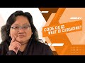 Coding for Beginners: Code Quiz #79— What is Cascading?