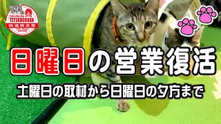 日曜日の営業復活💕 〜土曜日の取材から日曜日の夕方まで