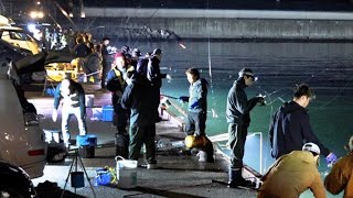 網走港にサンマの群れ　釣り人集まる